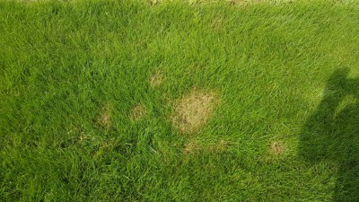 20180830_140213.jpg