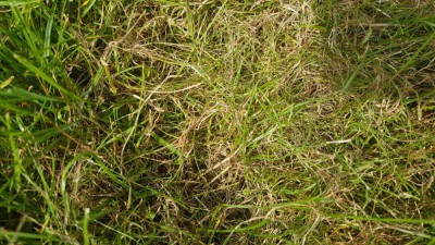 20180830_140217.jpg
