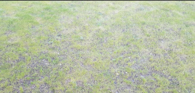 Screenshot_20210330-140927_Gallery.jpg