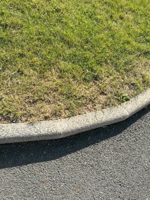 IMG_20180710_183542.jpg