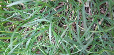 20180711_135413.jpg