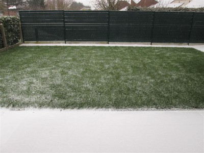 Neige (Medium).jpeg