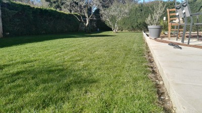 IMG_20160221_100953.jpg