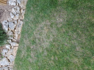 20180715_202600.jpg