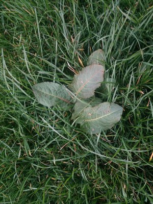 20160224_161322.jpg