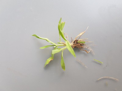 20180719_204437.jpg