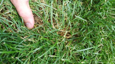 IMG_20180720_193128.jpg
