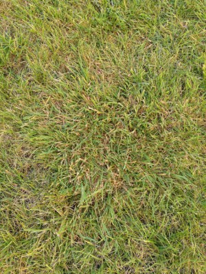 IMG_20180720_200738.jpg