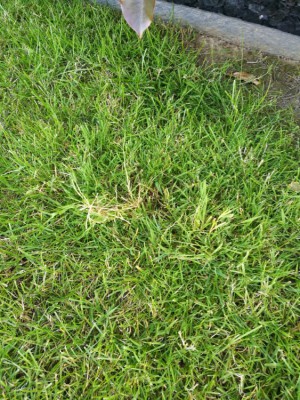 IMG_20180720_200626.jpg