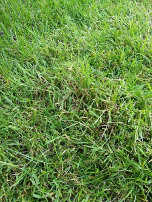 IMG_20180720_200705.jpg