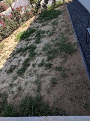 IMG_20180720_114558.jpg