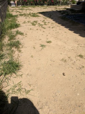 IMG_20180720_114655_1.jpg