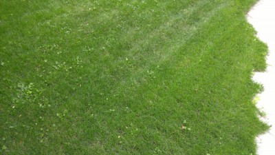 IMG_20180721_162155.jpg