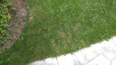 IMG_20180721_162226.jpg