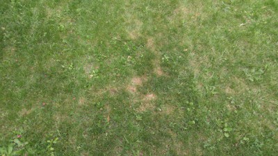 IMG_20180721_162236.jpg
