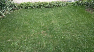 IMG_20180722_131359.jpg