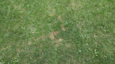 IMG_20180722_131407.jpg