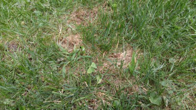 IMG_20180722_131416.jpg