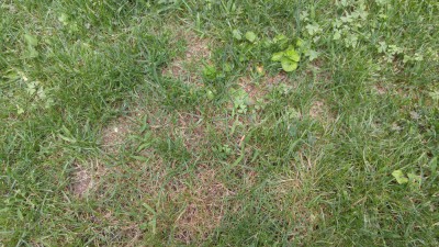 IMG_20180722_131454.jpg