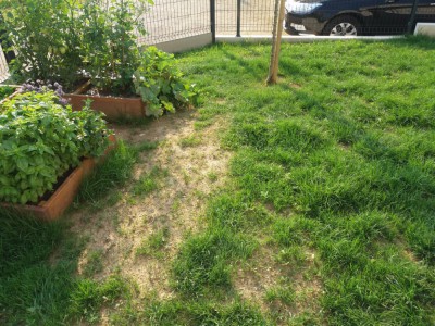 20180723_084122.jpg