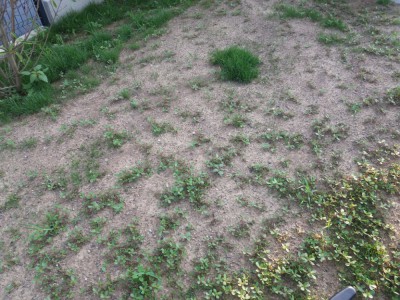 20180723_084031.jpg