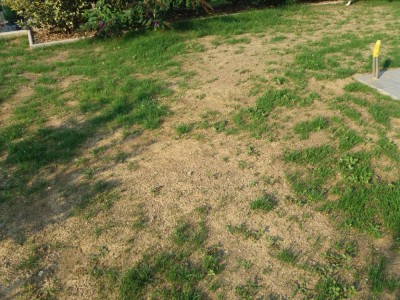 20180723_084142.jpg