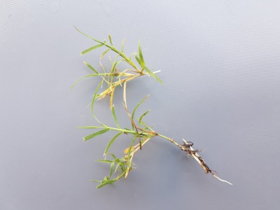 20180721_080928.jpg