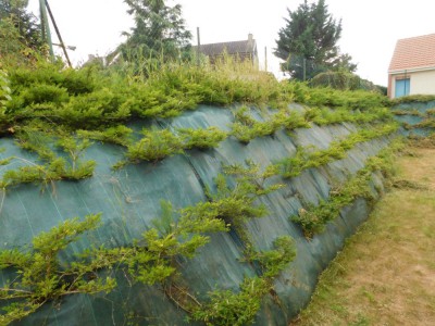 DSCN3692.JPG