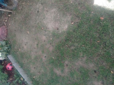 20180728_150423.jpg