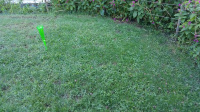IMG_20180729_193700.jpg