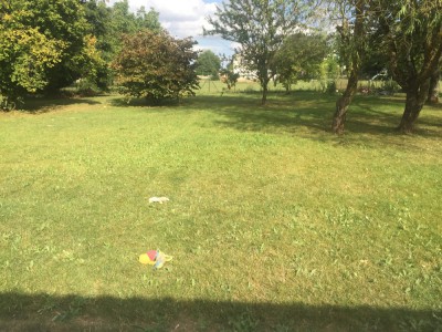 1533018440-20180730-161026944-ios-min.jpg