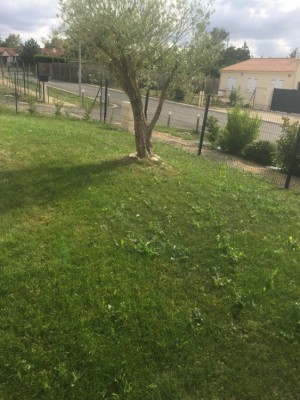 1533018521-20180730-161254954-ios-min.jpg