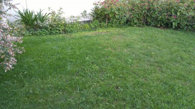 IMG_20180805_204105.jpg