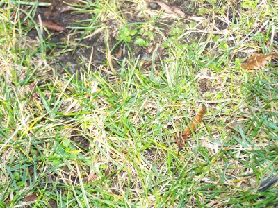 100_2361.JPG