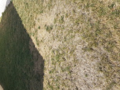 20180811_160753.jpg