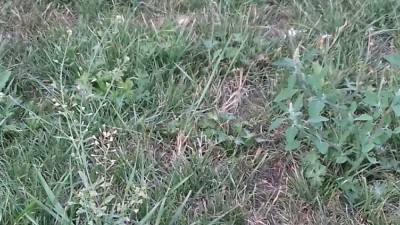 20180815_194600.jpg