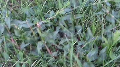 20180815_194626.jpg