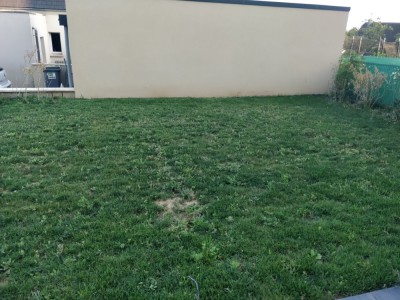 photo gazon 1-min.jpg