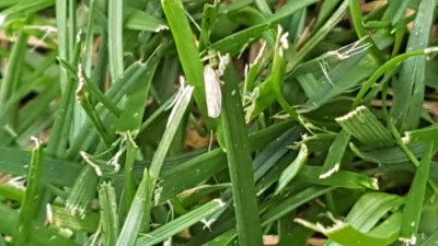 20180818_190251.jpg