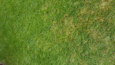 20180818_190443.jpg