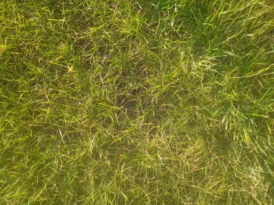 20160229_172850.jpg