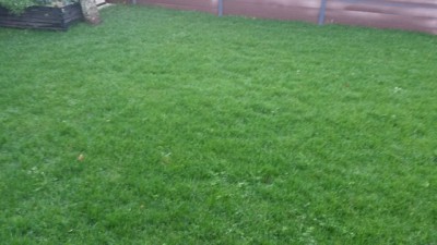20160302_182225.jpg