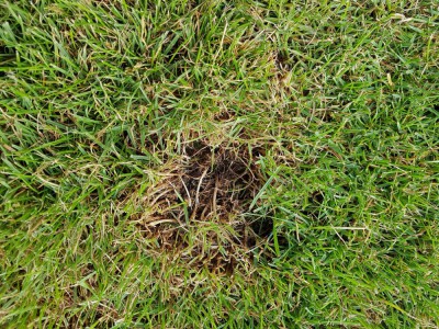 20180818_101652.jpg