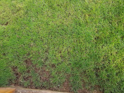20180818_101704.jpg