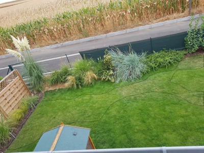 20180825_1226272.jpg