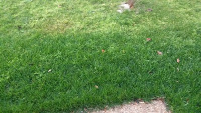 20160302_182258.jpg