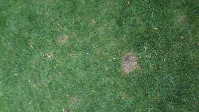 20180826_190903.jpg