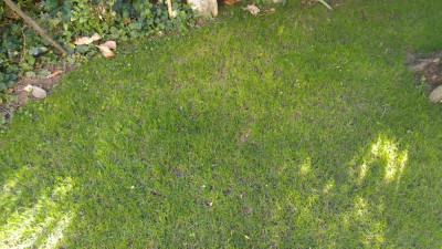 IMG_20180902_170812.jpg