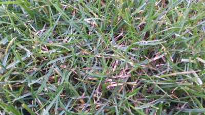 20160304_173722.jpg