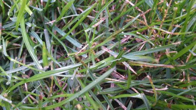 20160304_173748.jpg